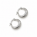 Croissant Hoop Earrings